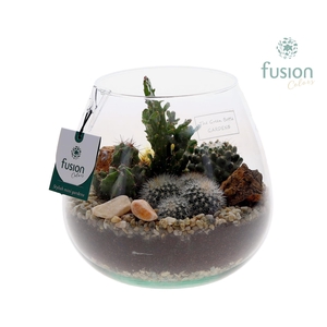 Green Bottle Abby Medium met Cactussen