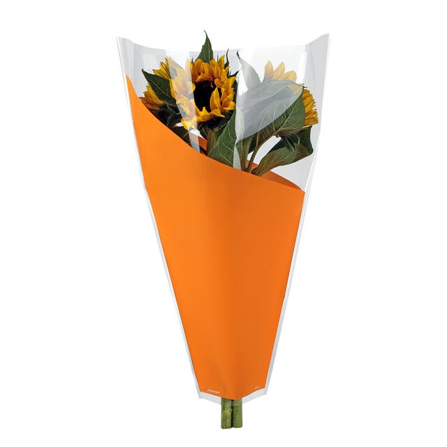 <h4>Housses 52x35x10cm OPP40 Kraftline rose</h4>