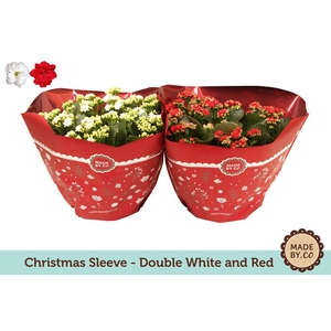 Kalan Gev Gemengd Rood & Wit 2 Kl