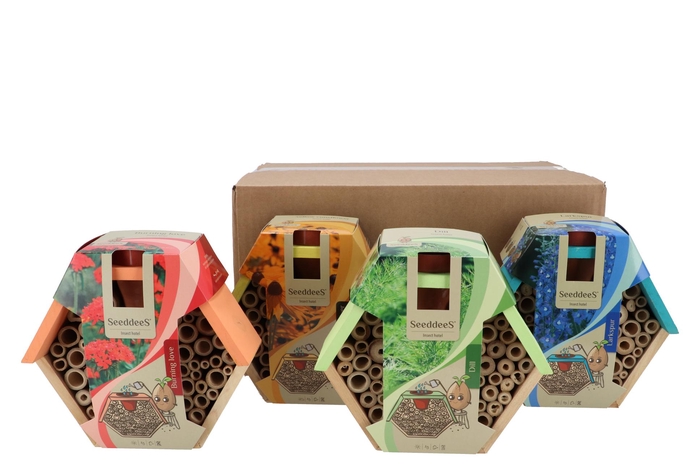 Greengift Dill Corn Burning Love Delphinium 9x20x17cm