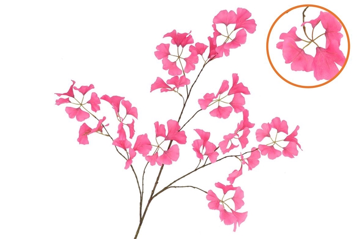 <h4>Silk Ginkgo Beauty 130cm</h4>