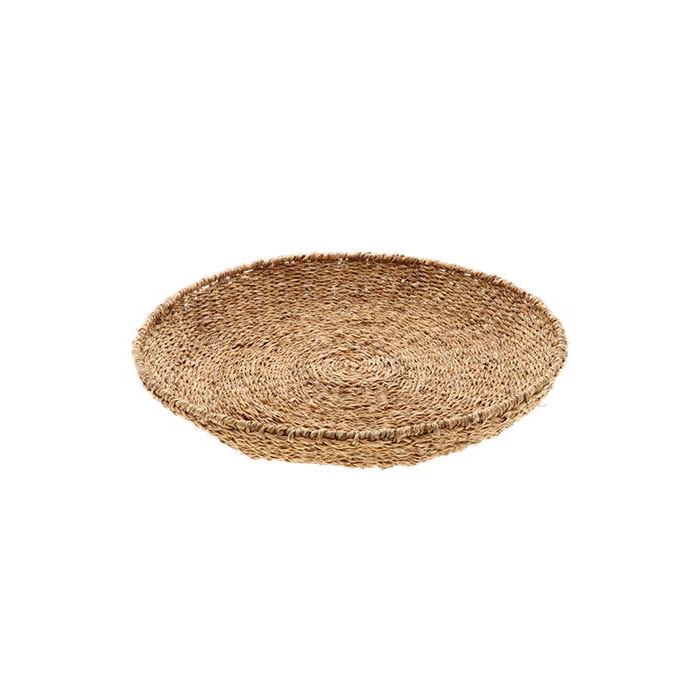 <h4>Bowl Manetee H8D55</h4>