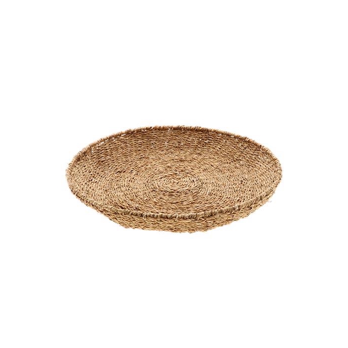 <h4>Bowl Manetee H8D55</h4>