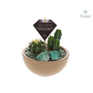 Schaal keramiek Moon Small beige met Cactussen