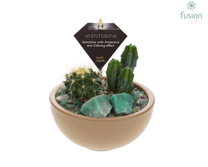 <h4>Schaal keramiek Moon Small beige met Cactussen</h4>