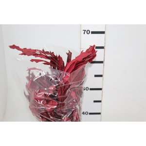 CARNE DE VACA DESIDRATADA