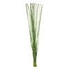 BAMBOO PALEN 200 CM