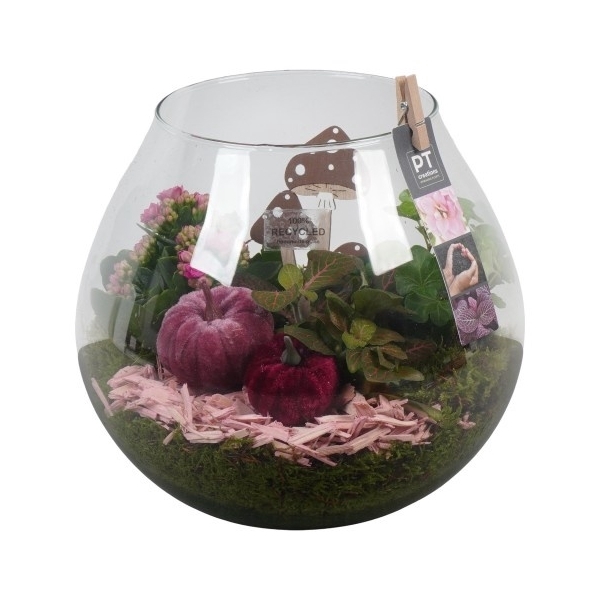 <h4>PTHG3380 Arrangement Autumn Glass in druppel vaas</h4>