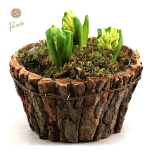 (DN501) Hyacint Bark Box Round