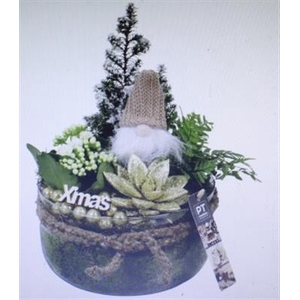 5734 GOUD BOSE GNOOM