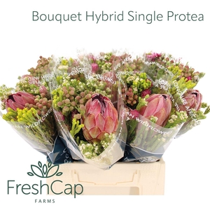 Bouquet Hybrid Single Protea