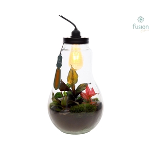 Glas Terrarium XXL met verlichting met Trendy groene planten