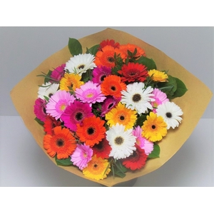 Bouquet Germini Mixed