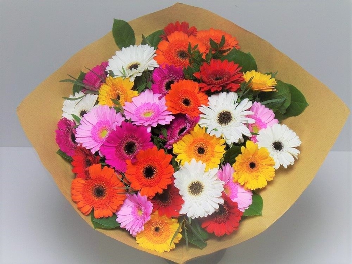 Bouquet Germini Mixed