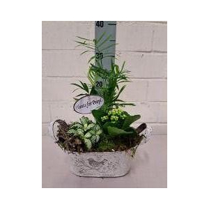 Zink Ovaal Jardin met vogeldeco