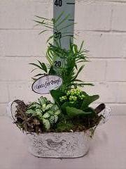 <h4>Zink Ovaal Jardin met vogeldeco</h4>