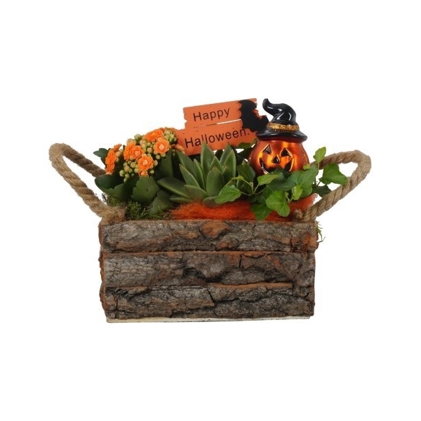 <h4>PTHL8734 Arrangement Halloween in houten bakje</h4>