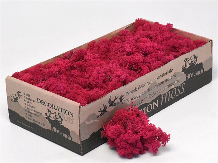 <h4>Mos Rendier Crimson Red Gepr 500gr</h4>