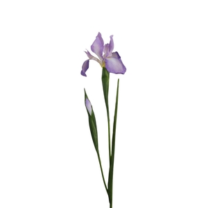 Artificial flowers Iris 75cm