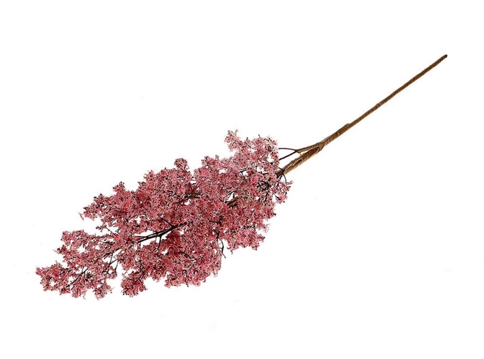 <h4>Deco Stem Pink Moss 50gr L75</h4>