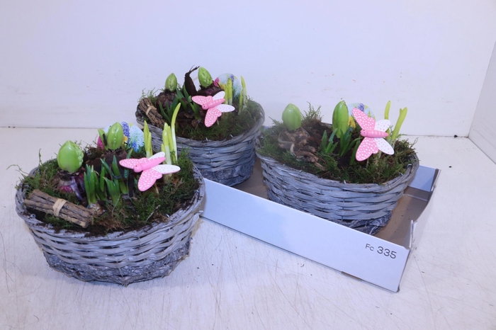 <h4>ARR BOL KNOLGEWAS</h4>