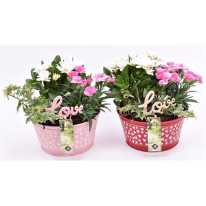 Zink schaal hart decor 16cm