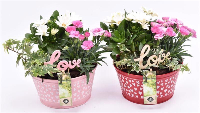 <h4>Zink schaal hart decor 16cm</h4>