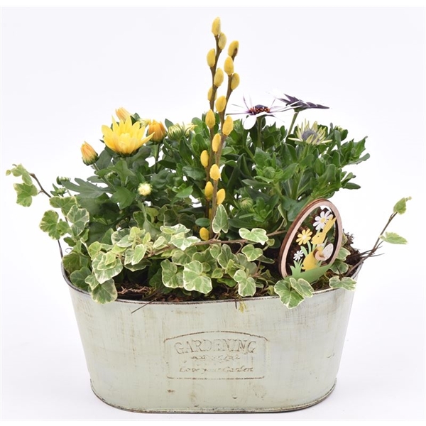 <h4>Zink ovaal gardening 25x14.5cm</h4>