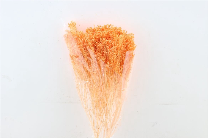 Dried Brooms Salmon Bunch