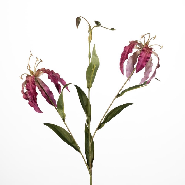 <h4>AF Gloriosa x3 L73cm D.pink</h4>