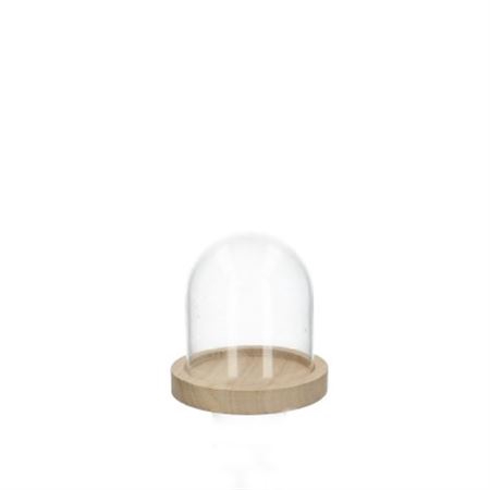 <h4>Display Glass Dome H8D9</h4>