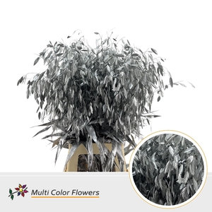 Chasmanthium Zilver