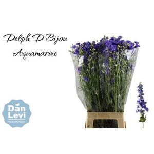 Delph D Bijou Aquamarine