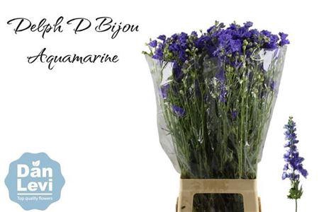<h4>Delph D Bijou Aquamarine</h4>