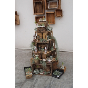 Tillandsia tower concept