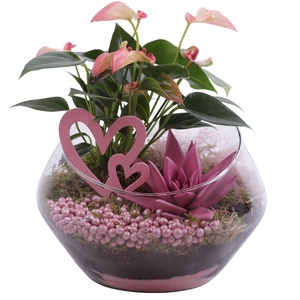 Mothersday Arr. Indoor Glass Oblique UFO Vase Ø20cm 2PP