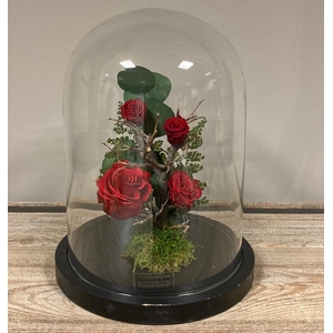 Stolp zwart 28h rode rozen glas