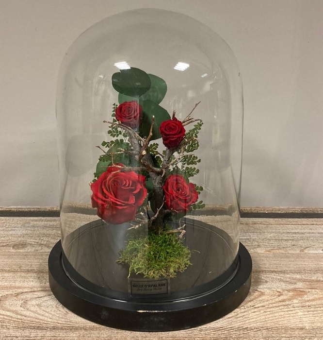Stolp zwart 28h rode rozen glas