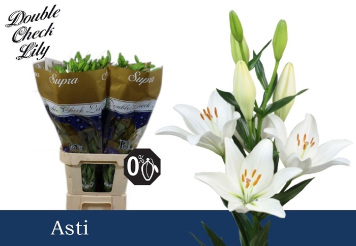 <h4>LI LA ASTI LI LA ASTI</h4>