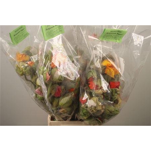Papaver Mix Super Per Stem