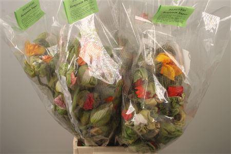 <h4>Papaver Mix Super Per Stem</h4>