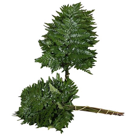 <h4>LEDERVAREN MEDIUM TAK</h4>