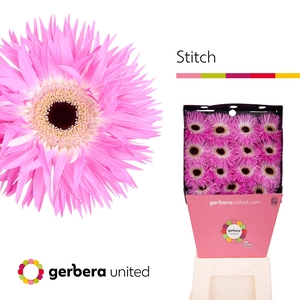 Gerbera Spider Stitch Diamond