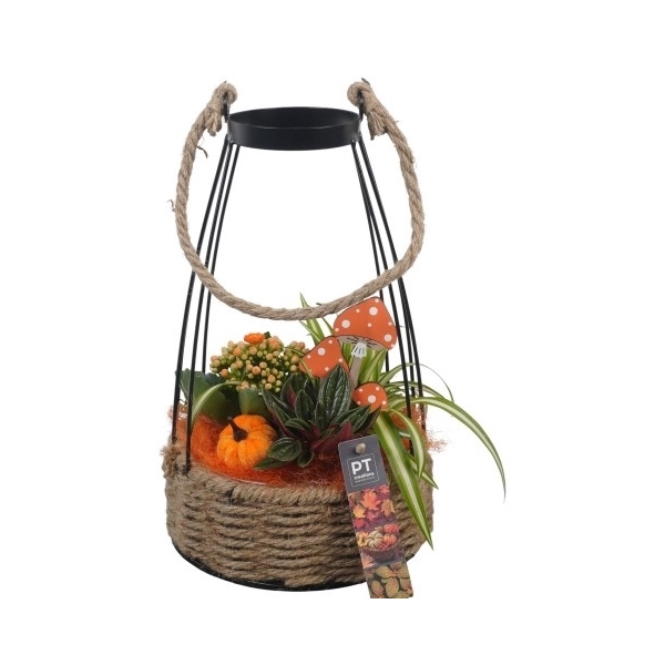 <h4>PTHI5450 Arrangement Herfst Indoor in touw mand met metaal</h4>