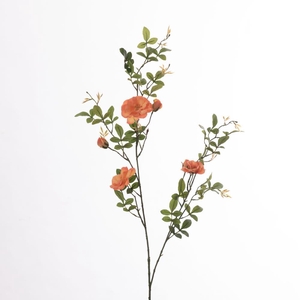 AF Rosa Wild L131cm Peach
