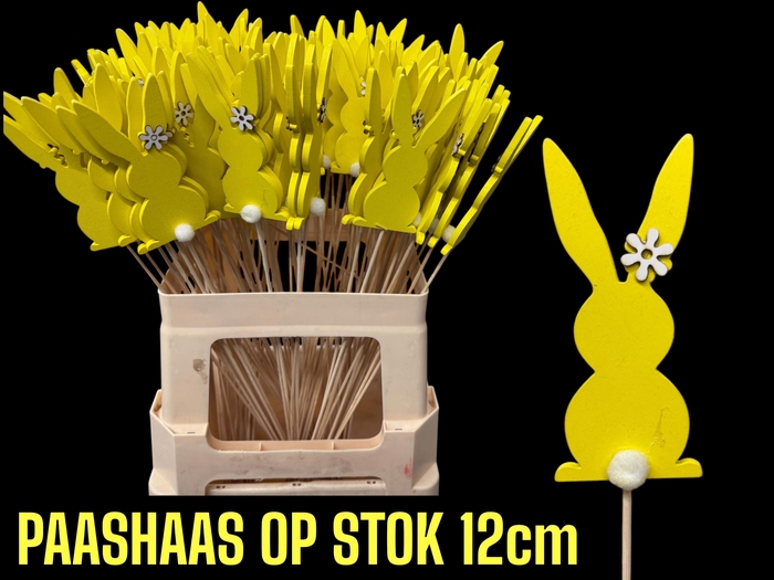 <h4>PAASHAAS H%</h4>