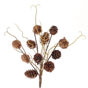 Pine cone Branch Picea pinecone 25cm