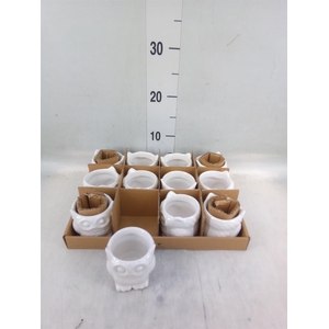 Pot   ...Keramische H%