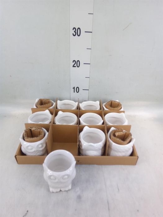 <h4>Pot   ...Keramische H%</h4>