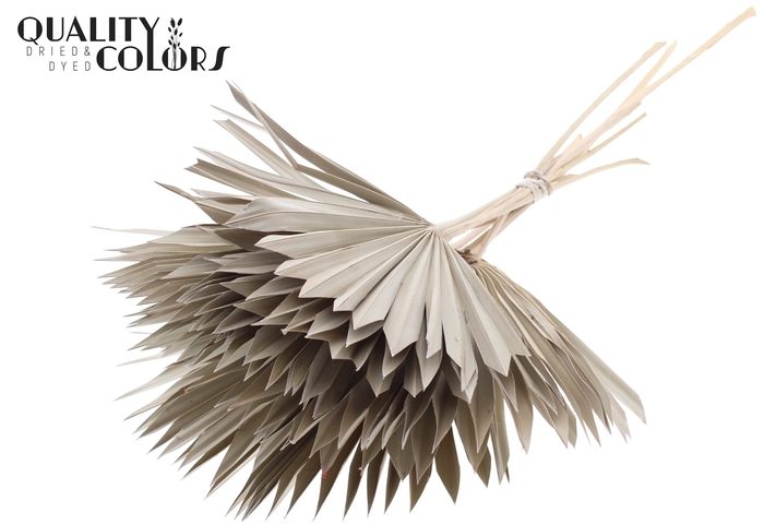 Sun Spear per stem Frosted White
